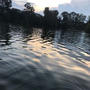 Meet your Posher, Caitlyn